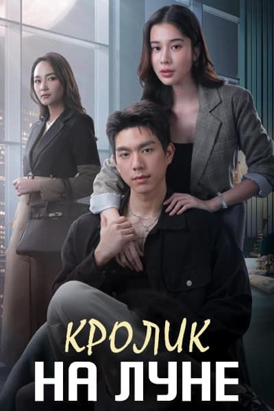 Кролик на луне [1 - 16 серии из 24]
