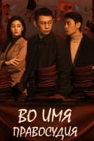 Во имя правосудия [1 - 35 серии из 36]